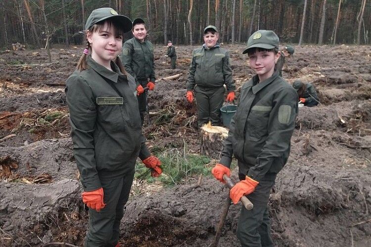 У Луцьку школярі опановуватимуть повний цикл вирощування лісу