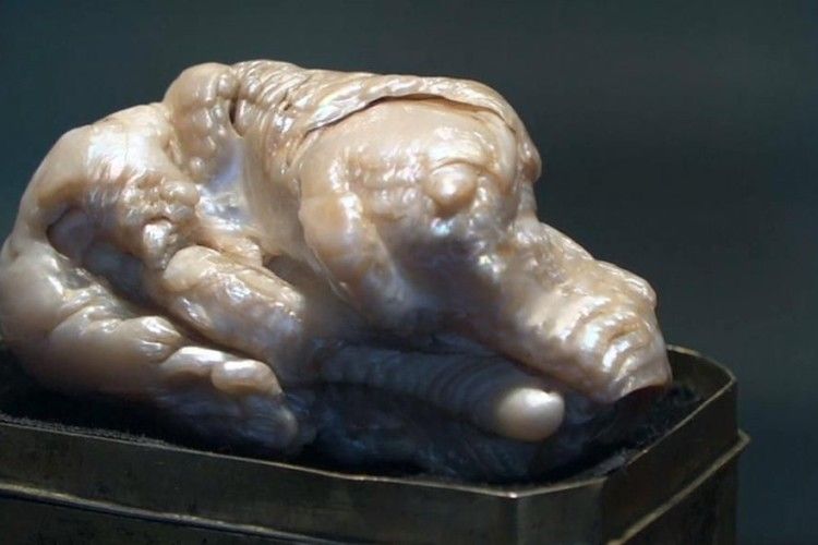 І у звичайній річці можна натрапити на коштовність!