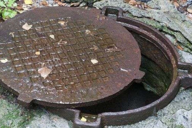 Каналізаційний люк, качки, мобілка: на Волині вчора розкрили багато крадіжок 