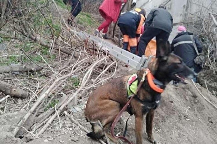 У Дніпрі собака знайшов жінку, яка просиділа в колодязі дві доби