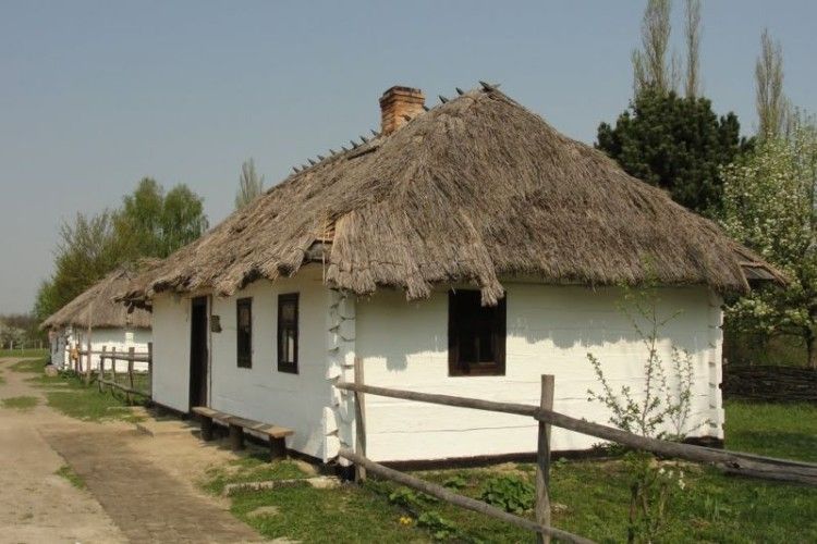 Волонтери з семи країн світу впорядковуватимуть скансен в Рокинях
