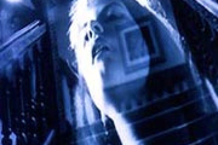 ВУЗЕНЬКА СТЕЖКА НАД ПРІРВОЮ