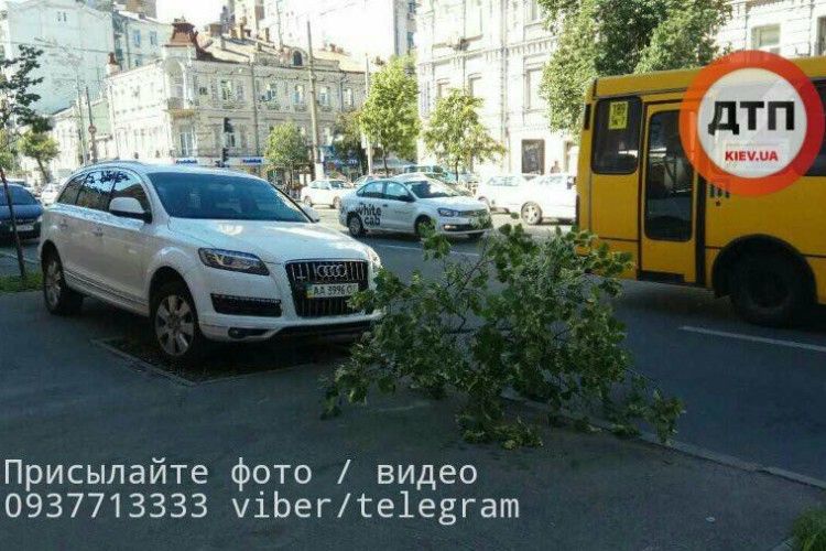 Навіть не автоандон – автоандонище… (фото)