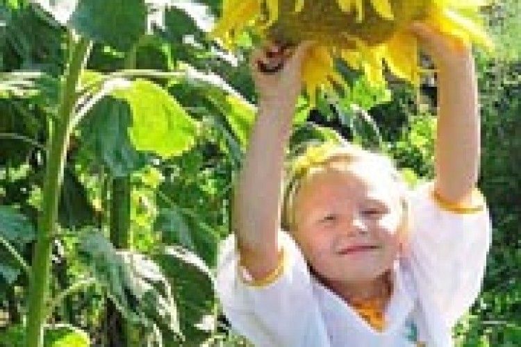 ФОТО НА КОНКУРС: сонячна Софійка серед улюблених