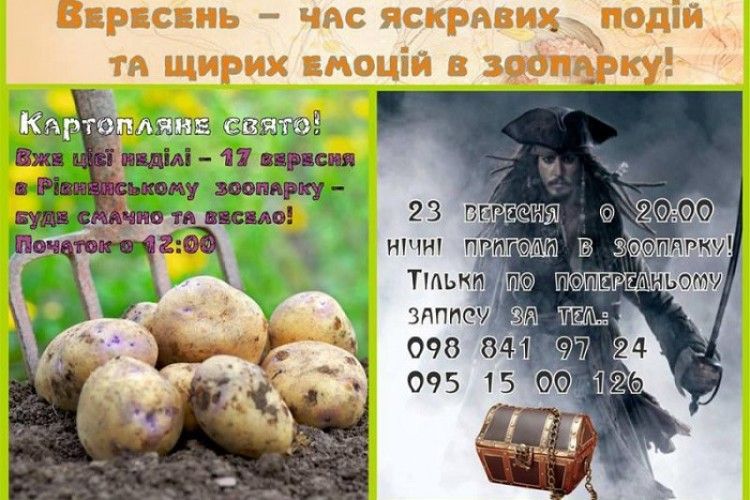 Любителів картоплі і тих, хто не боїться кажанів, чекають у Рівненському зоопарку