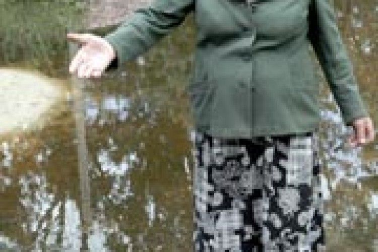 НЕБАЧЕНА ПОВІНЬ НАРОБИЛА ЛИХА