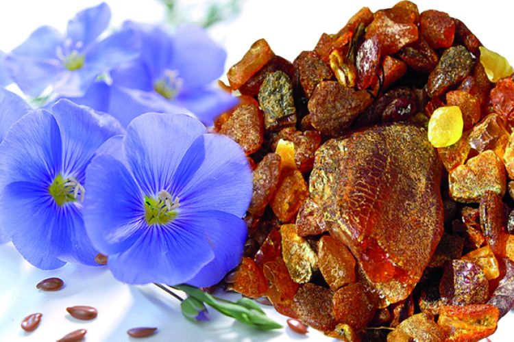 Зберуть «сонячне каміння» і посіють льон?