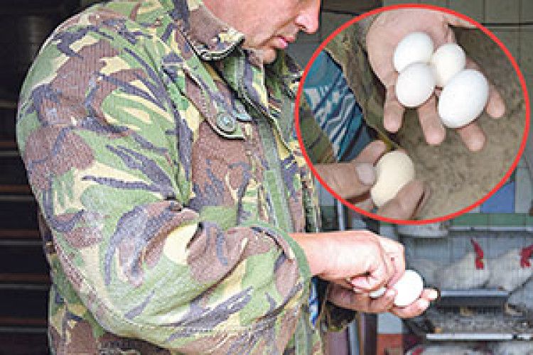 «КОЛИ ПОБАЧИВ ПАРУ ФЕНІКСІВ, ТО НАВІТЬ НЕ ТОРГУВАВСЯ»
