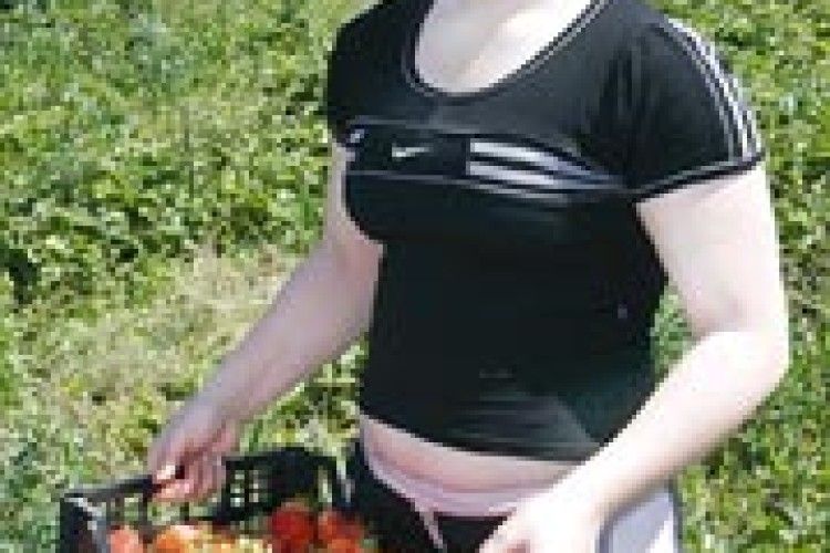 СОНЯЧНІ ЯГОДИ ІЗ МАЯКІВ