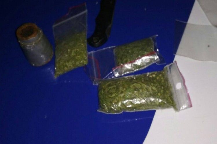 Можна було б подумати, що це карпатський чай, якби не «бульбулятор»