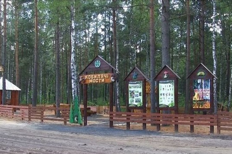 На Волині відкрили три нових лісових дороги