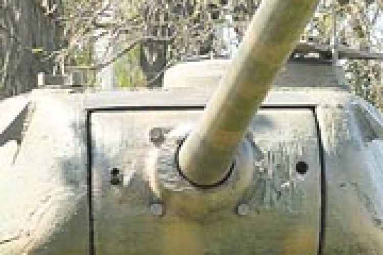 ФОТОФАКТ: грізну зброю облюбували... птахи