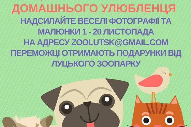 Маєш домашнього улюбленця? – Претендуй на приз від Луцького зоопарку! 