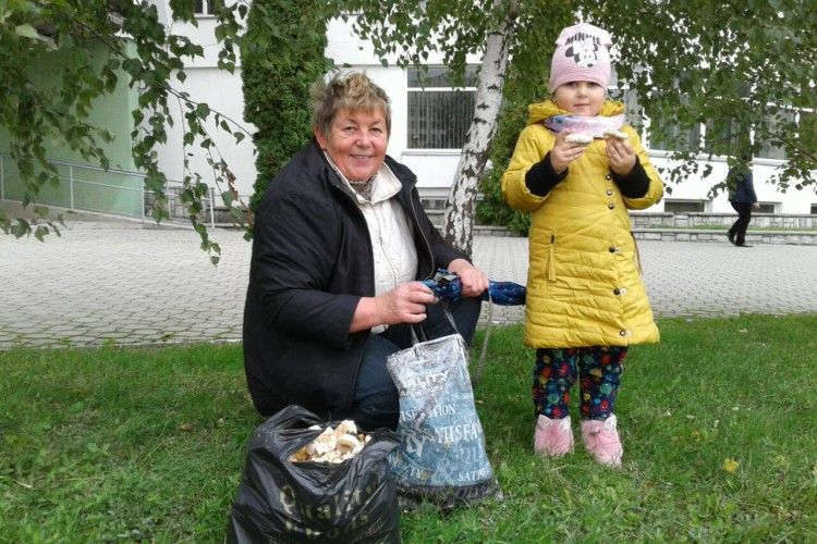 Лучани вже «косять» гриби відрами просто на Київському майдані (фото)