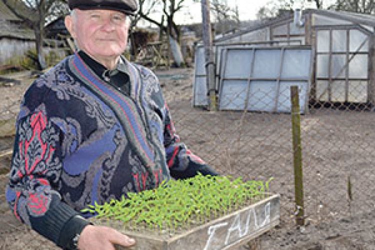 ПОМІДОРНИЙ МАГНАТ ІЗ ДУБЕЧНОГО