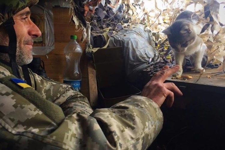 Кицька Маруся попереджає бійців на передовій про мінометний обстріл за дві-три хвилини до його початку (фото)  