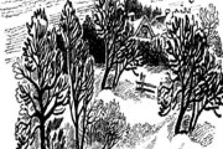 ПОГОДА: зима виконує свої повноваження