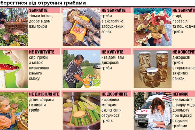 У Ратному лікарі чотири доби рятували від наслідків отруєння грибами вагітну жінку