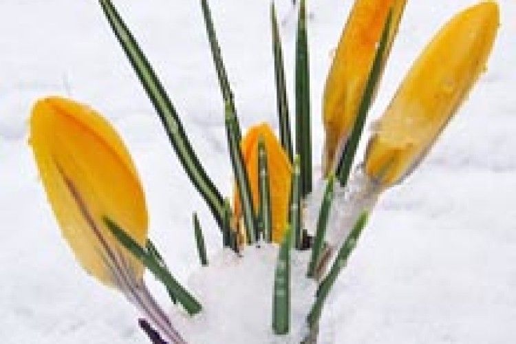 ФОТО НА КОНКУРС: у передчутті тепла