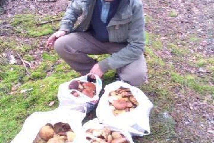 Лучанин заледве зміг донести знайдені гриби (фото)