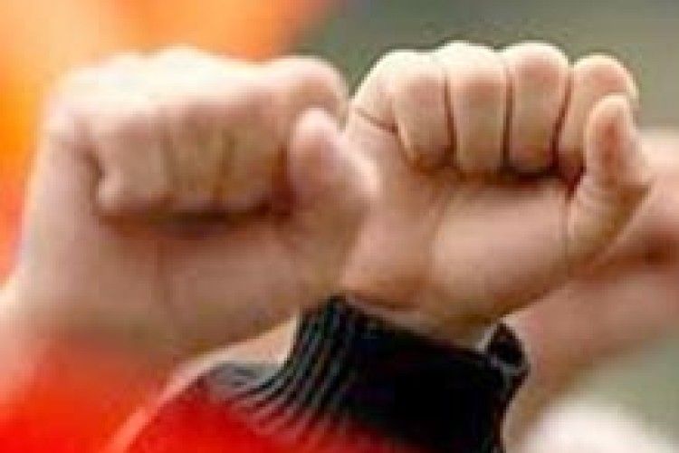 «ВСТАВАЙ… МИР, ТРУД, МАЙ»*