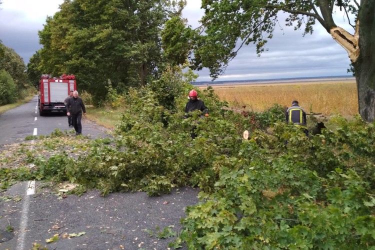 Негода поламала дерева та порвала електромережі на Рівненщині
