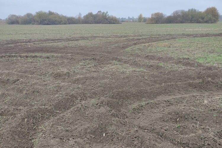 На Волині дрифтери нищать посіви місцевих фермерів