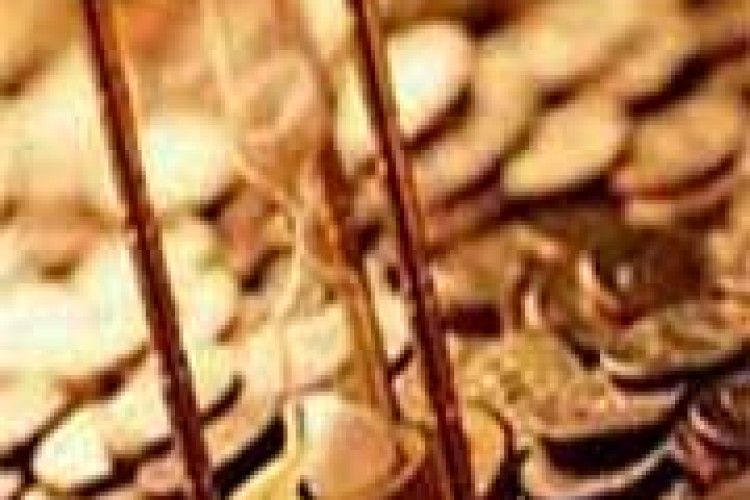 ЯКИМ ЖЕ БУДЕ БЮДЖЕТ-2007?