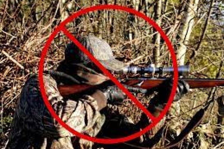 На Волині браконьєри вбили зубра, лося та оленя