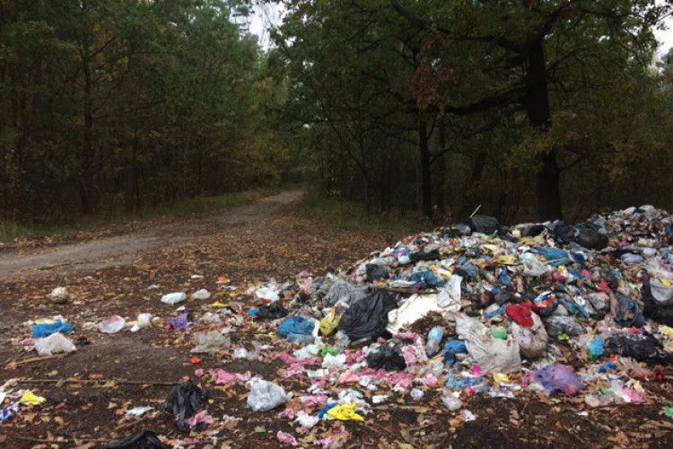 Львівське сміття «осіло» у волинському лісі?