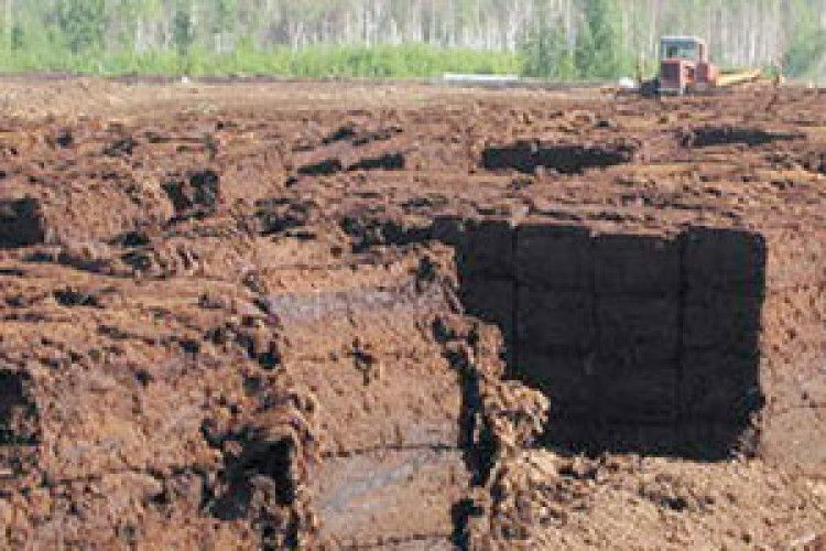 6 МІЛЬЙОНІВ НІБИ ВИПАРУВАЛИСЬ У ПОВІТРІ. І ВИННИХ НЕМА