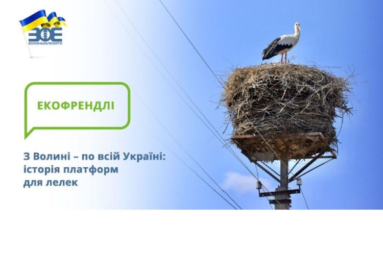 Хата для буськів: експеримент з Волині став національною практикою
