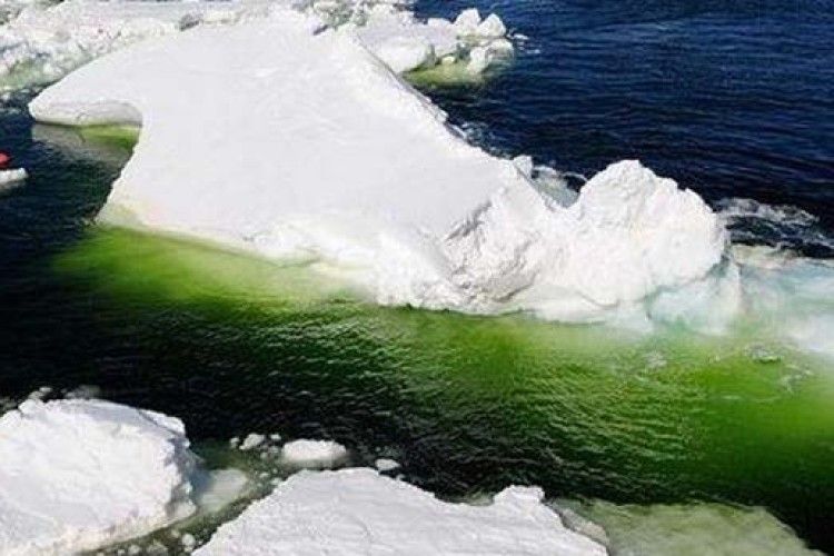 В Арктиці позеленіла вода: назвали причину (ФОТО)