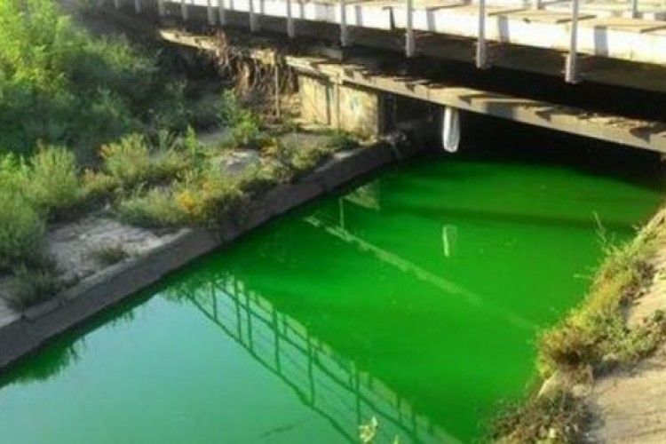 Вандали «пофарбували» воду в столичній річці у кислотно-зелений колір (ФОТО)