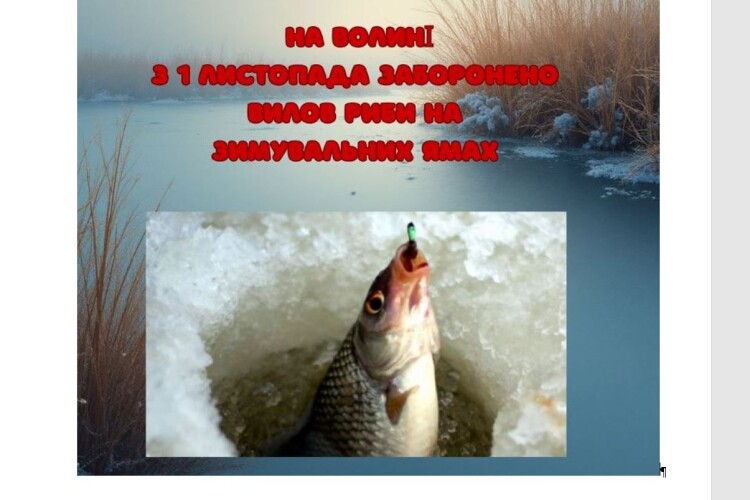 На Волині повідомили, де можна ловити рибу попри заборону