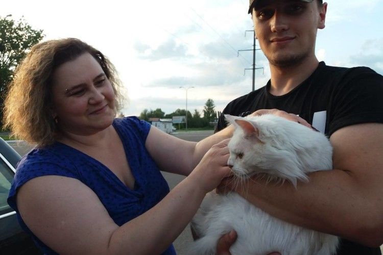 Галицький котисько Льова переїжджає з Луцька до Ковеля