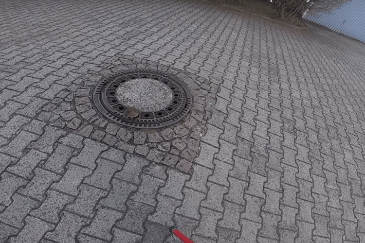 Пожежники врятували щура, який застряг у каналізаційному люці (Відео)