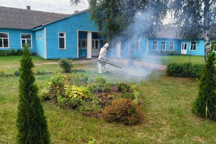 Понад тисяча потерпілих: яка загроза чекає на волинян під час відпочинку на природі