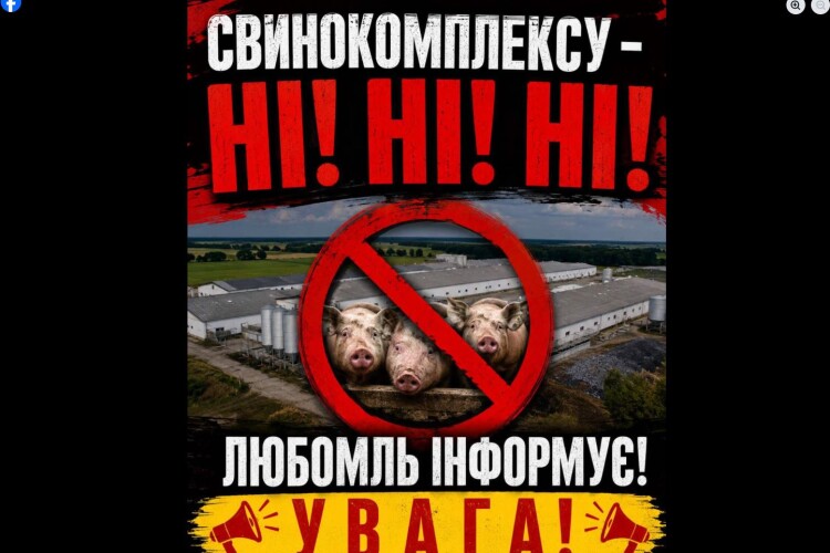 Громада на Волині проти будівництва свинокомплексу 