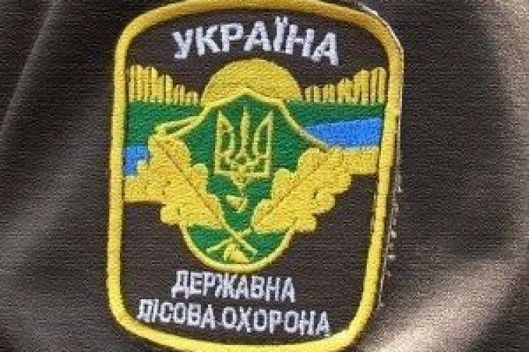 На Камінь-Каширщині затримано вантажівку з краденою деревиною