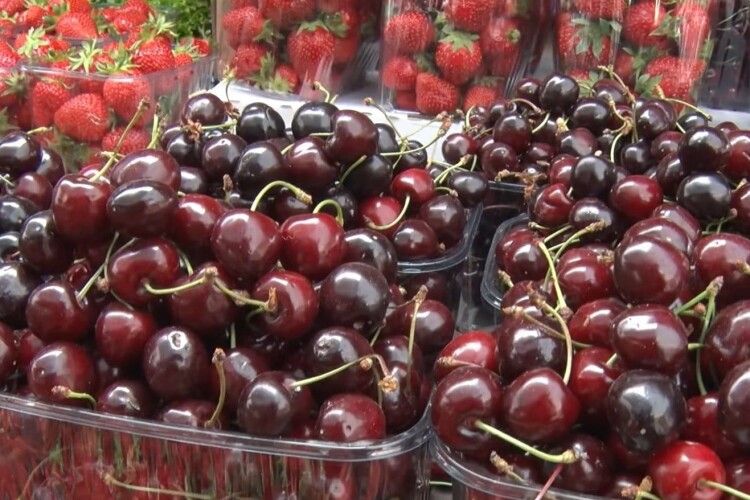 Звідки до Луцька везуть черешню і скільки коштує ягода на базарі (Відео)