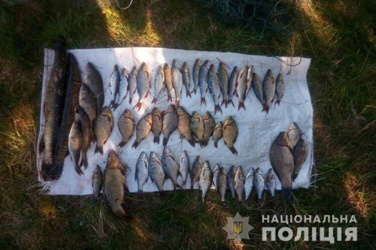З початку операції «Нерест» на Волині поліція вилучила у порушників понад 300 кг риби