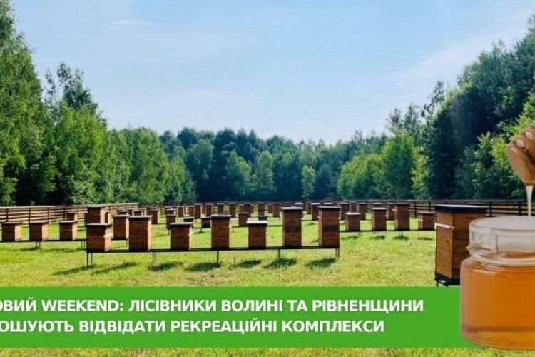 Медовий край: лісівники Волині та Рівненщини запрошують відвідати рекреаційні комплекси