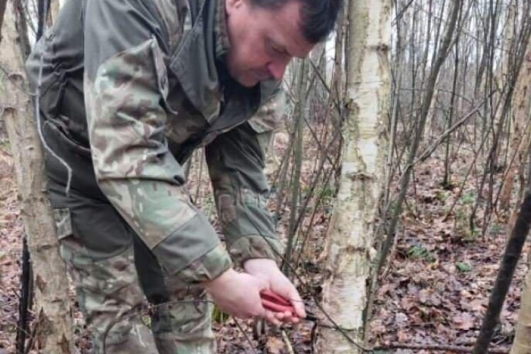 У лісі на Волині виявили десять незаконних петель для ловлі тварин (Фото)