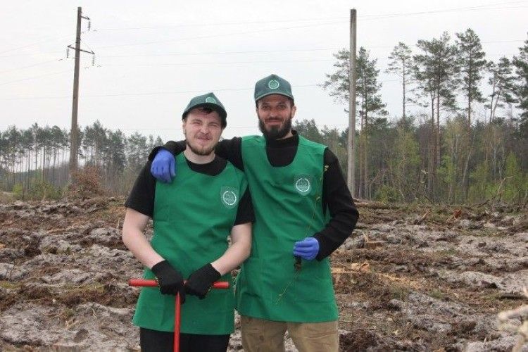 Священики Колківського благочиння посадили понад три гектари молодого лісу