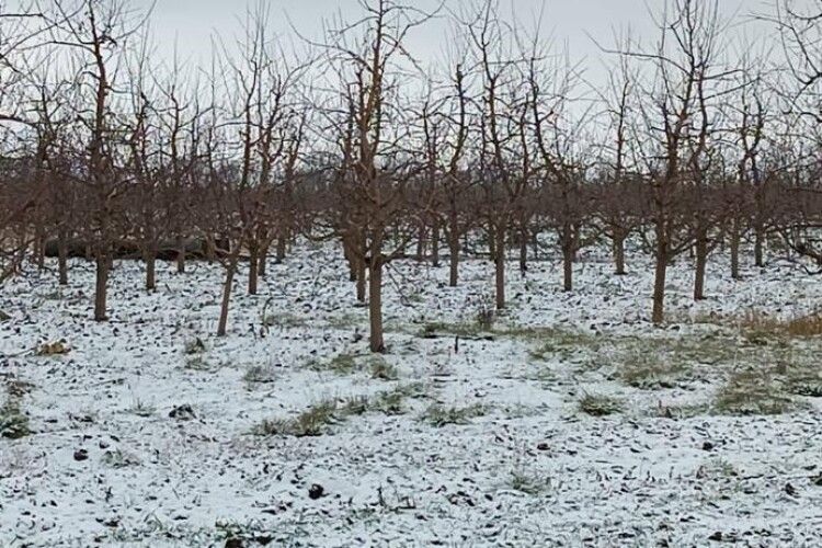 Ракетний удар по Україні: одна з ракет впала на території Молдови 
