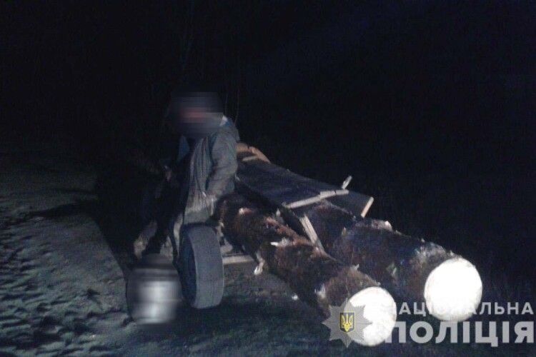 На Рівненщині злапали лісокрадунів із Великої Клецьки та Залізниці (фото)