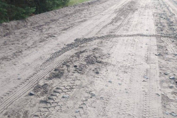 Два чоловіки загинули унаслідок аварії у Ковельському районі Волині