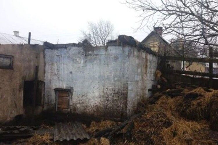 На Рівненщині згорів хлів зі свинями  