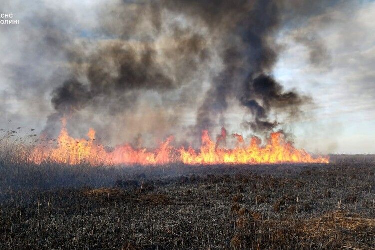 В національному парку на Волині трава на болотах горіла цілу добу 